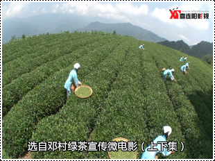 宜昌綠茶微電影